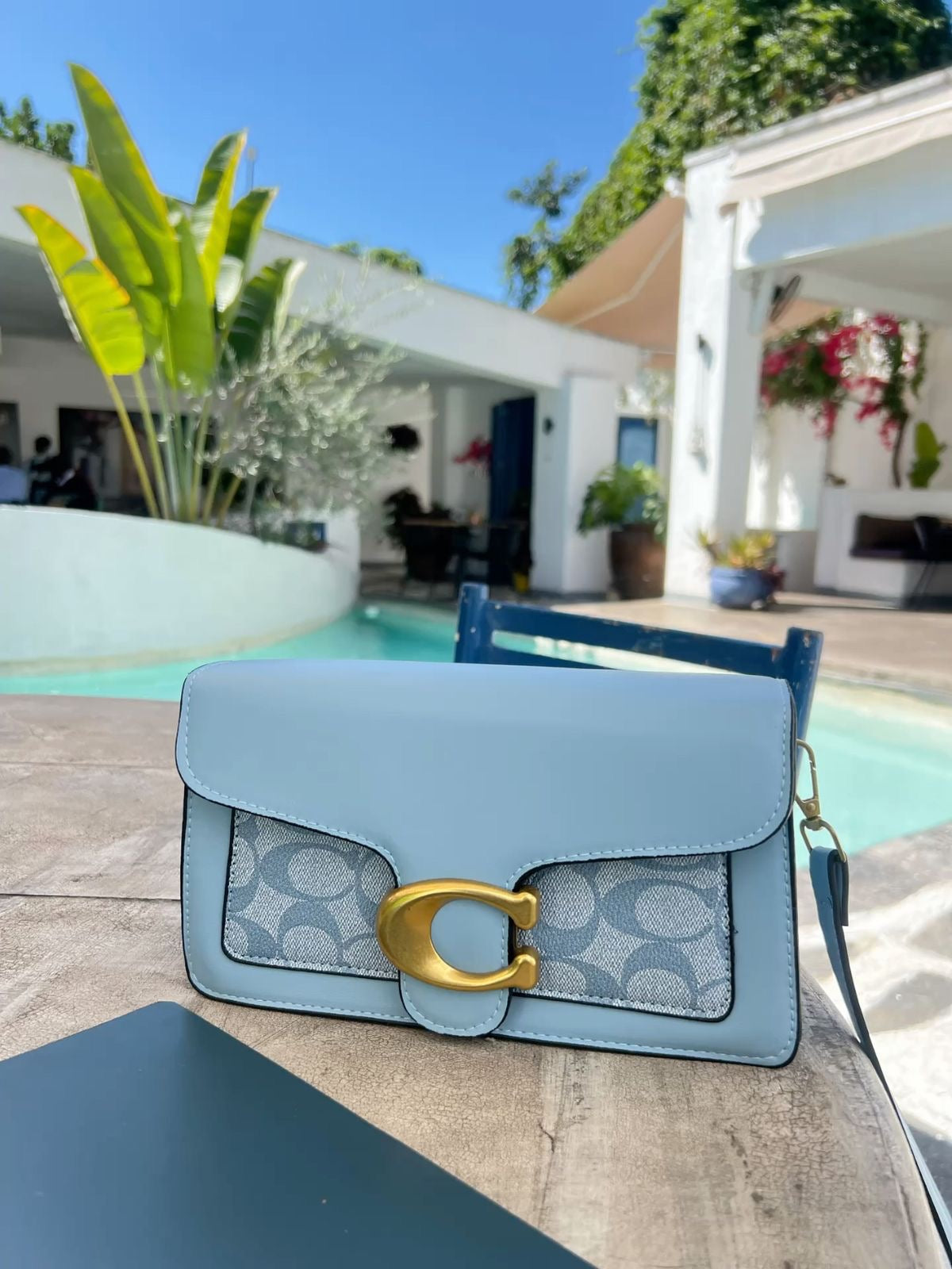 Baby Blue Coach Bag